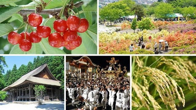 国史跡慈恩寺・神輿などの歴史文化や、さくらんぼ・つや姫など美味しいもの、 美しい自然が溢れる街です。